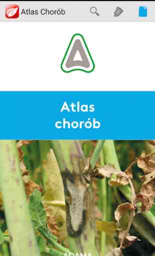 Atlas Chorób 1