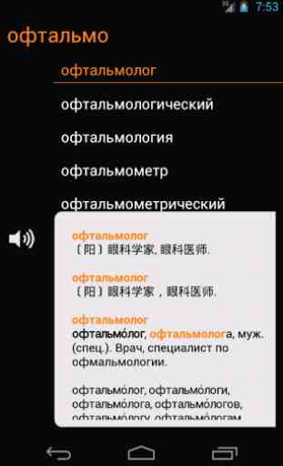 Chinese Russian Dictionary 2