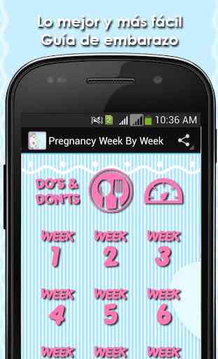 El embarazo semana a semana 1