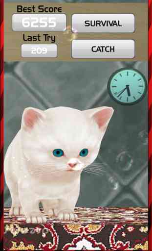 El Kitten Run Simulator 2017 - Cute Kitty Pet 2