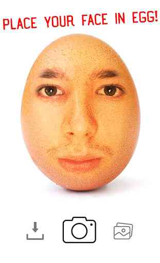 Face on Egg ( World Record Egg ) 1