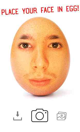 Face on Egg ( World Record Egg ) 3