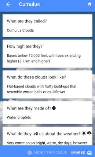 Field Guide to Clouds 2