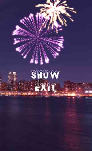 Fireworks Show 1
