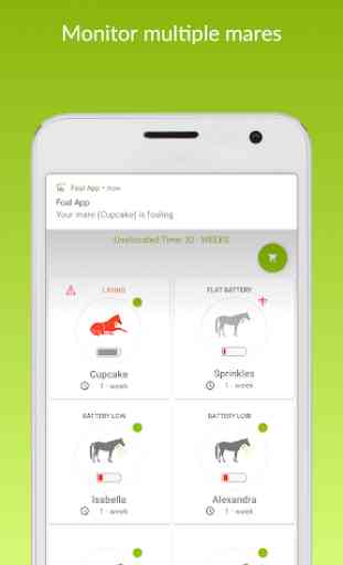 Foal App 4