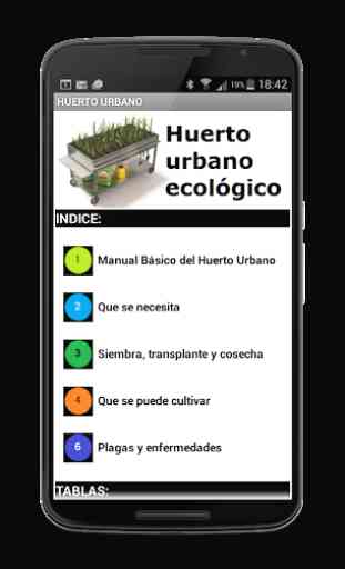 Huerto urbano ecológico 1