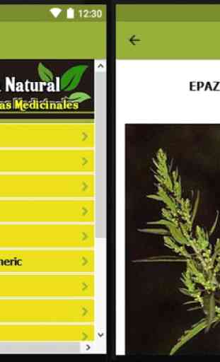 Medicina natural gratis, plantas que curan 3