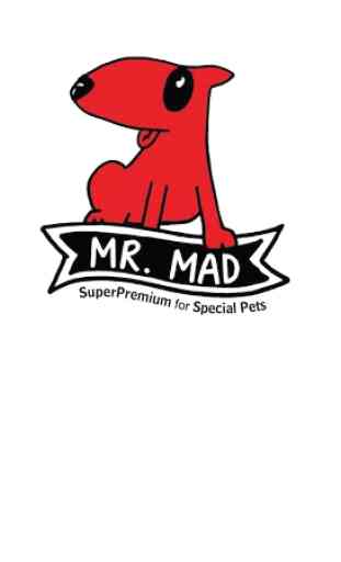 Mr.Mad 1
