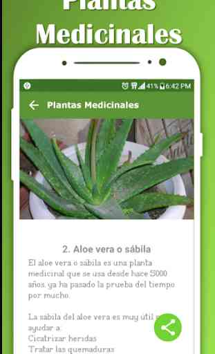 Planta Medicinal - Medicina natural para tu hogar 1