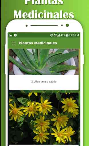 Planta Medicinal - Medicina natural para tu hogar 4