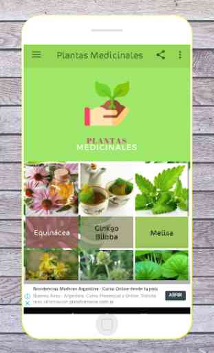PLANTAS MEDICINALES 1