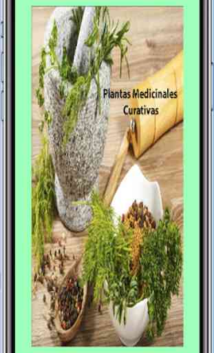 Plantas Medicinales Curativas 1