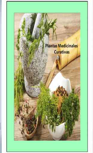Plantas Medicinales Curativas 3