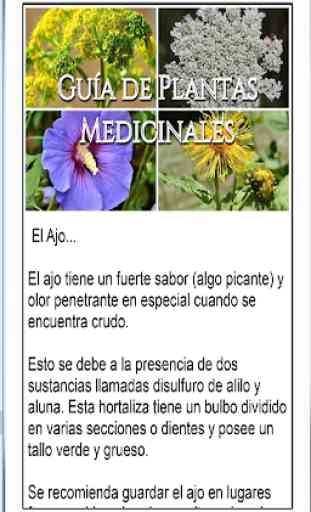 Plantas Medicinales Curativas 4