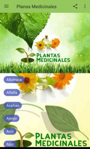 Plantas Medicinales y curativas 1