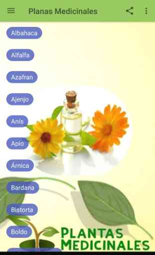 Plantas Medicinales y curativas 3