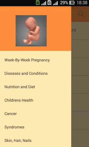 Pregnancy and childbirth. Pregnancy Calendar. bump 1