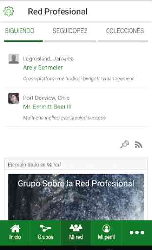 Red Profesional 4