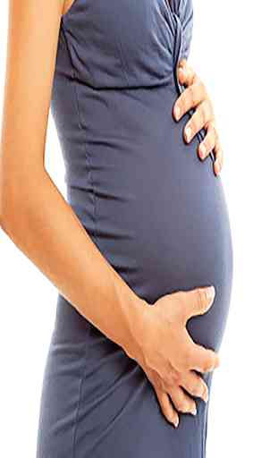 Semanas de Embarazo Guide 2