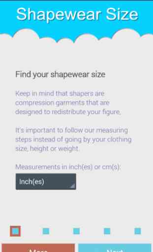 Shapewear (Body Shaper) 1