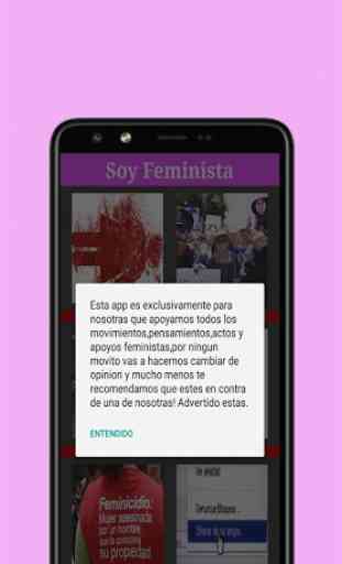 Soy Feminista 3