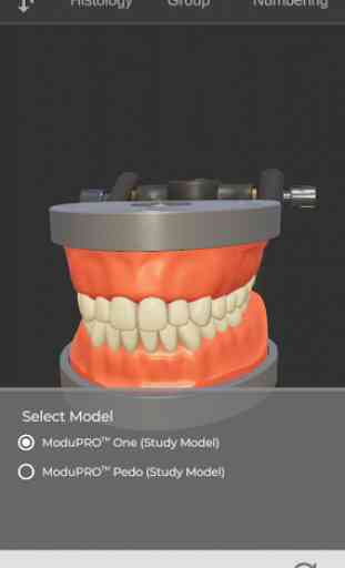 ToothView™ 3