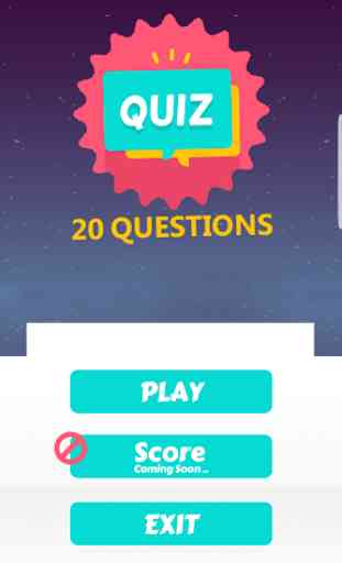 20 Questions Quiz 1