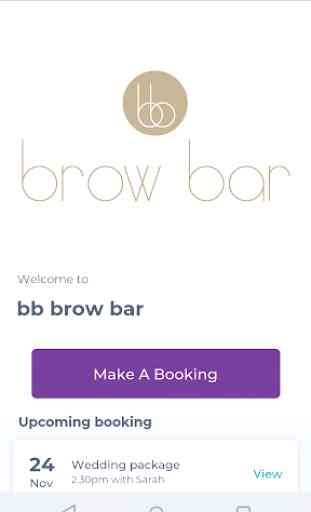 bb brow bar 1
