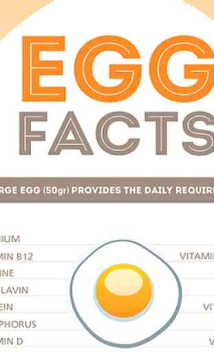 Beneficios de Salud de Los Huevos 2