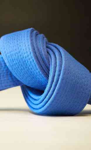 Brazilian Jiu Jitsu Blue Belt Requirements 2.0 1