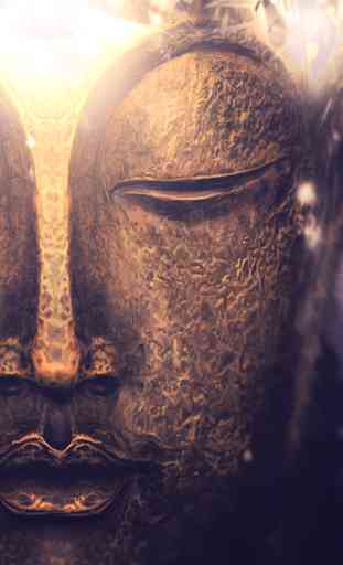 Buddha Quotes & Wisdom 1