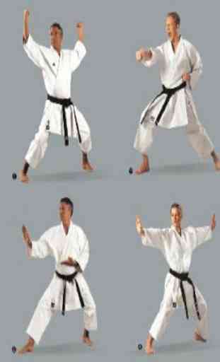 guide sport karate 2