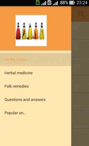 Herbalist. The witch doctor. Folk remedies. 1