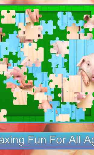 Jigsaw Puzzle Forever HD 3