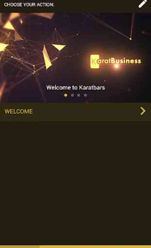KaratBusiness 3