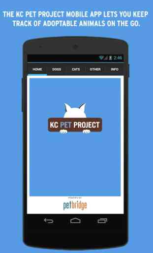 KC Pet Project 1