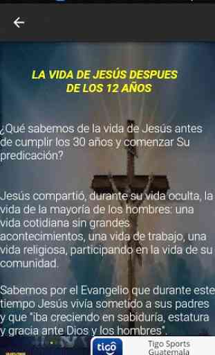 La Vida de Jesus: Frases Jesus Cristo 3