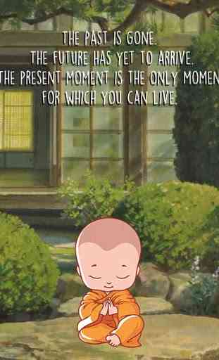 Little Buddha - Quotes and Meditation 2