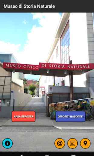 Museo Storia Naturale Trieste 1