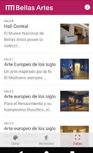 MyWay Museo Nacional de Bellas Artes 4