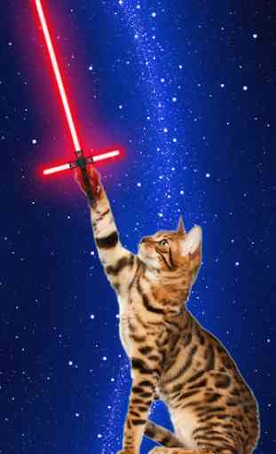 Neon Laser - Juguete para gato 1