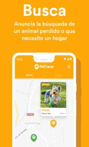 PeTrace - Localizador GPS de mascotas y animales 1