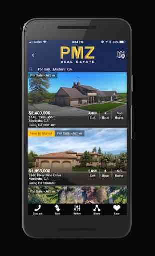 PMZ Real Estate 2
