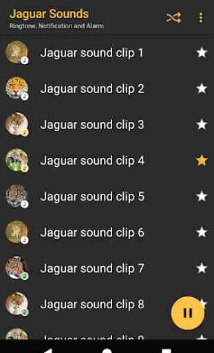 sonidos Jaguar - Appp.io 2
