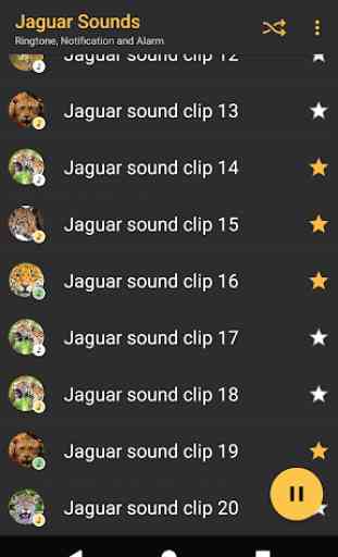 sonidos Jaguar - Appp.io 3