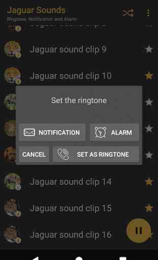 sonidos Jaguar - Appp.io 4