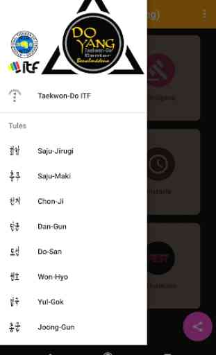 Taekwon-Do ITF (Doyang) 2