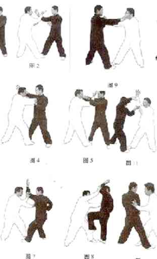 Técnicas de artes marciales 1