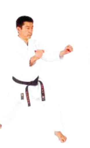 Técnicas de artes marciales 3