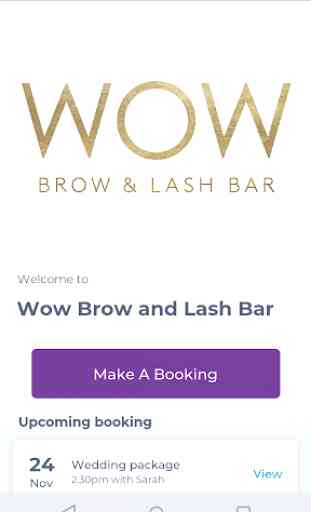 Wow Brow and Lash Bar 1